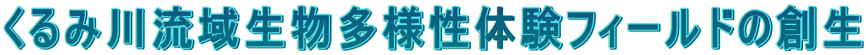 ����ݐ여�搶�����l���̌��t�B�[���h�̑n�� 